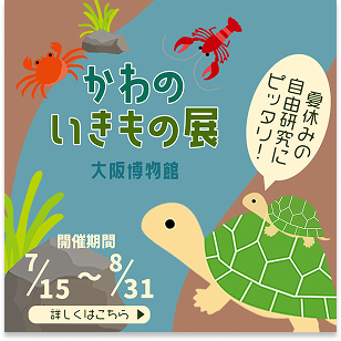川の生き物展
