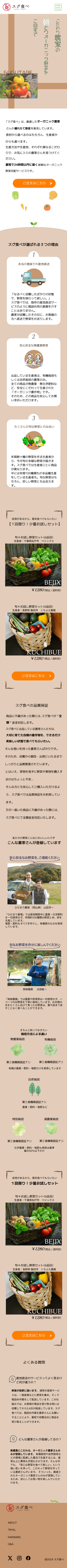 sp用スグ食べデザインカンプ